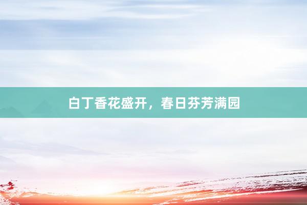 白丁香花盛开,春日芬芳满园